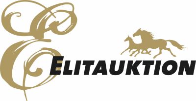 Elitauktion